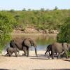 Kruger National Park: hotel