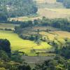 Luxury Tents in Coorg