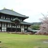 Ryokans en Nara