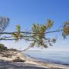 Hytter i Fischland-Darß-Zingst