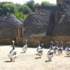 Apartamentos en Périgord Negro