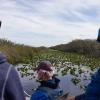 Hotel di Everglades National Park