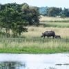 Lodges in Kaziranga National Park