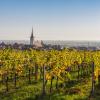 Hôtels romantiques dans cette région : Route des vins