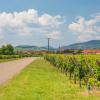 Hoteles en Ruta de vinos de Alsacia