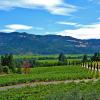 Hotels in Napa Valley Wine Country