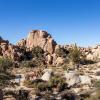 Moteller i Joshua Tree nationalpark