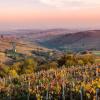 Hôtels dans cette région : Rhône-Alpes