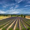 Agroturismos en Provenza-Alpes-Costa Azul