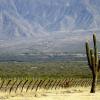 Hoteles en Ruta del vino de Salta