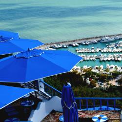 Tunis Governorate  