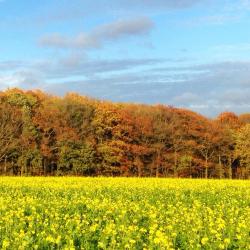 Flemish Brabant 7 glamping sites