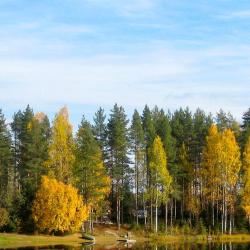 Tahko 7 cabins