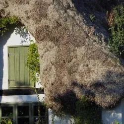 Læsø 3軒のホステル