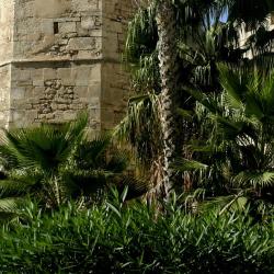 Sfax 3 bed and breakfast