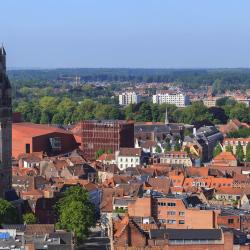 Bruges Woodland 3 маленьких будиночків