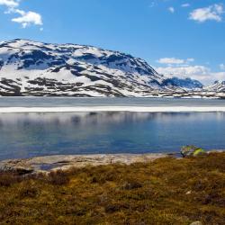 Haukelifjell 13 holiday rentals