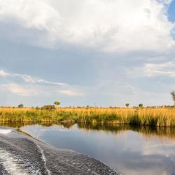 Moremi Game Reserve 5 hotels with parking