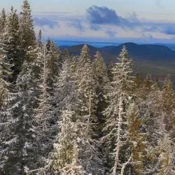 North Karelia 3軒のグランピング施設