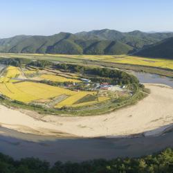 Gyeongsangbuk-Do