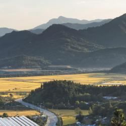 Chungcheongbuk-Do