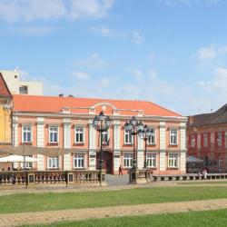 Kreis Timiș