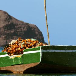 Sao Vicente 177 hotels with parking