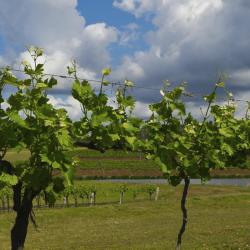 Margaret River Region