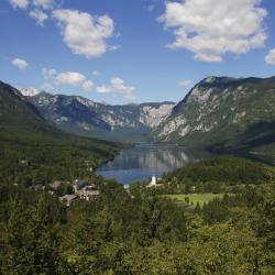 Meer van Bohinj