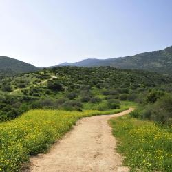 Upper Galilee 11 Glamping Sites