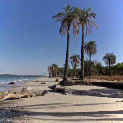 Casamance 35 cottages