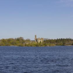 Roscommon County