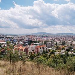 Bezirk Mitrovica