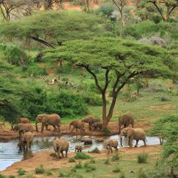 Laikipia 5 glamping sites