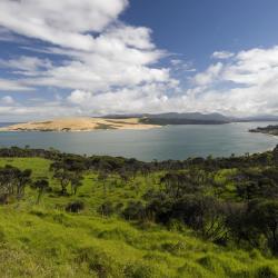 Northland 8 Glamping Sites
