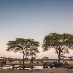 Chobe 9軒のコテージ