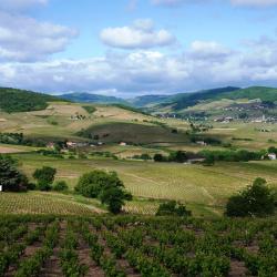 Beaujolais