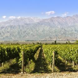 Ruta del Vino de Mendoza 132 casas de campo