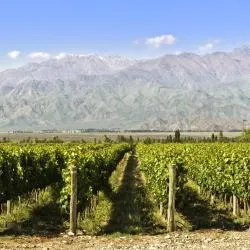 Wine Route Mendoza