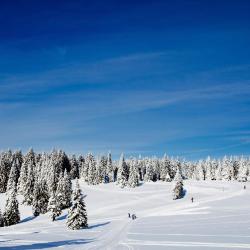 Rogla 9 cabins