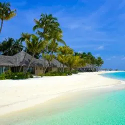 Maldives 542 guest houses