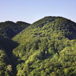 Posavje 14 glamping sites