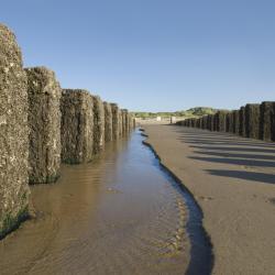 Walcheren 3 farm stays