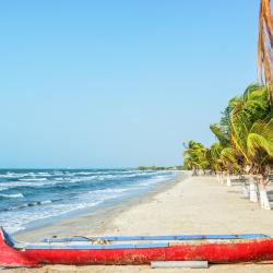 Sucre 342 pet-friendly hotels