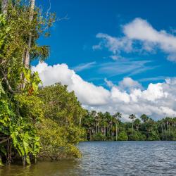 Madre de Dios 26 of the lodges