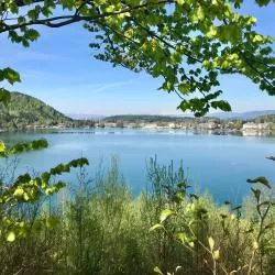 Klopeinersee 233軒のファミリーホテル