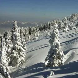 Szczyrk
