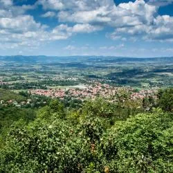 Sokobanja Spa 5 beach rentals