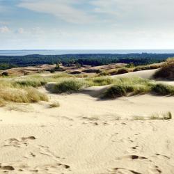 Curonian Spit 3 hostels