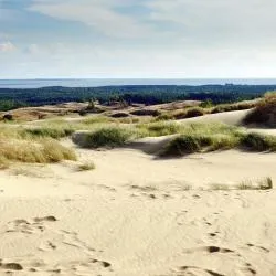 Curonian Spit 482軒のバケーションレンタル